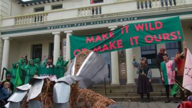 هذه هي الطريقة التي واجهت بها ثورة فلاحينا في القرن الحادي والعشرين أفراد العائلة المالكة بشأن إعادة الحياة البرية، وانتصرت | جويل سكوت هالكس هذه هي الطريقة التي واجهت بها ثورة فلاحينا في القرن الحادي والعشرين أفراد العائلة المالكة بشأن إعادة الحياة البرية، وانتصرت | جويل سكوت هالكس