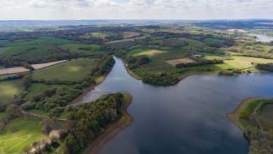 جولة خالية من السيارات في شرق ساسكس: المشي بجانب الماء والغابات وتوقف الطعام اللذيذ | عطلات ساسكس جولة خالية من السيارات في شرق ساسكس: المشي بجانب الماء والغابات وتوقف الطعام اللذيذ | عطلات ساسكس
