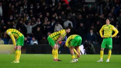 ليدز يقترب من نقاط الترقية التلقائية مع فوز بامفورد على نورويتش | بطولة ليدز يقترب من نقاط الترقية التلقائية مع فوز بامفورد على نورويتش | بطولة