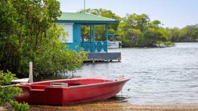 حفلات، طائرات نفاثة، منازل ثانية: كيف تهدد السياحة أحد الخلجان الوحيدة ذات الإضاءة الحيوية في العالم |  بورتوريكو حفلات، طائرات نفاثة، منازل ثانية: كيف تهدد السياحة أحد الخلجان الوحيدة ذات الإضاءة الحيوية في العالم |  بورتوريكو