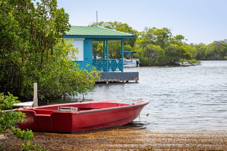 حفلات، طائرات نفاثة، منازل ثانية: كيف تهدد السياحة أحد الخلجان الوحيدة ذات الإضاءة الحيوية في العالم | بورتوريكو حفلات، طائرات نفاثة، منازل ثانية: كيف تهدد السياحة أحد الخلجان الوحيدة ذات الإضاءة الحيوية في العالم | بورتوريكو