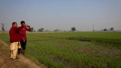 يقول المسؤولون إن موجة من الطائرات بدون طيار المحملة بالمخدرات تحلق إلى الهند من باكستان | الهند يقول المسؤولون إن موجة من الطائرات بدون طيار المحملة بالمخدرات تحلق إلى الهند من باكستان | الهند