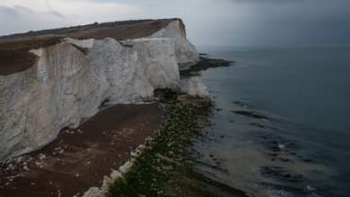 انحراف خروج بريطانيا من الاتحاد الأوروبي عن الاتحاد الأوروبي يدمر الحماية البيئية الحيوية في المملكة المتحدة |  السياسة الخضراء انحراف خروج بريطانيا من الاتحاد الأوروبي عن الاتحاد الأوروبي يدمر الحماية البيئية الحيوية في المملكة المتحدة |  السياسة الخضراء