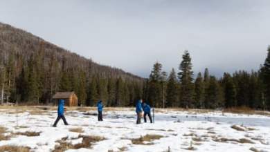 الكتلة الثلجية في كاليفورنيا هي الأدنى منذ عقد على الرغم من الأمل في عواصف ديسمبر | كاليفورنيا الكتلة الثلجية في كاليفورنيا هي الأدنى منذ عقد على الرغم من الأمل في عواصف ديسمبر | كاليفورنيا