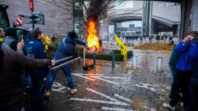 “رمز الاستقطاب”: الاتحاد الأوروبي يلغي خططه لخفض استخدام المبيدات الحشرية إلى النصف |  مبيدات حشرية “رمز الاستقطاب”: الاتحاد الأوروبي يلغي خططه لخفض استخدام المبيدات الحشرية إلى النصف |  مبيدات حشرية