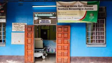 “الكثير من الإنكار”: زامبيا تكافح مرض فقر الدم المنجلي من خلال فحص الأطفال الرضع | التنمية العالمية “الكثير من الإنكار”: زامبيا تكافح مرض فقر الدم المنجلي من خلال فحص الأطفال الرضع | التنمية العالمية