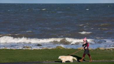 أفلاطون والبيلاتس والحانات: هل وجدت مدينة أيرلندية سر الحياة الطيبة؟ | أيرلندا أفلاطون والبيلاتس والحانات: هل وجدت مدينة أيرلندية سر الحياة الطيبة؟ | أيرلندا