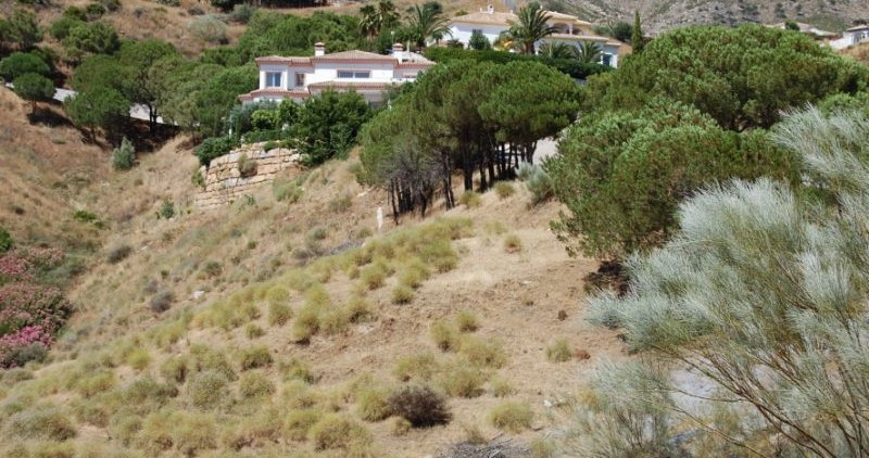 R409482 Málaga Málaga, Costa del Sol, Mijas R409482 Málaga Málaga, Costa del Sol, Mijas