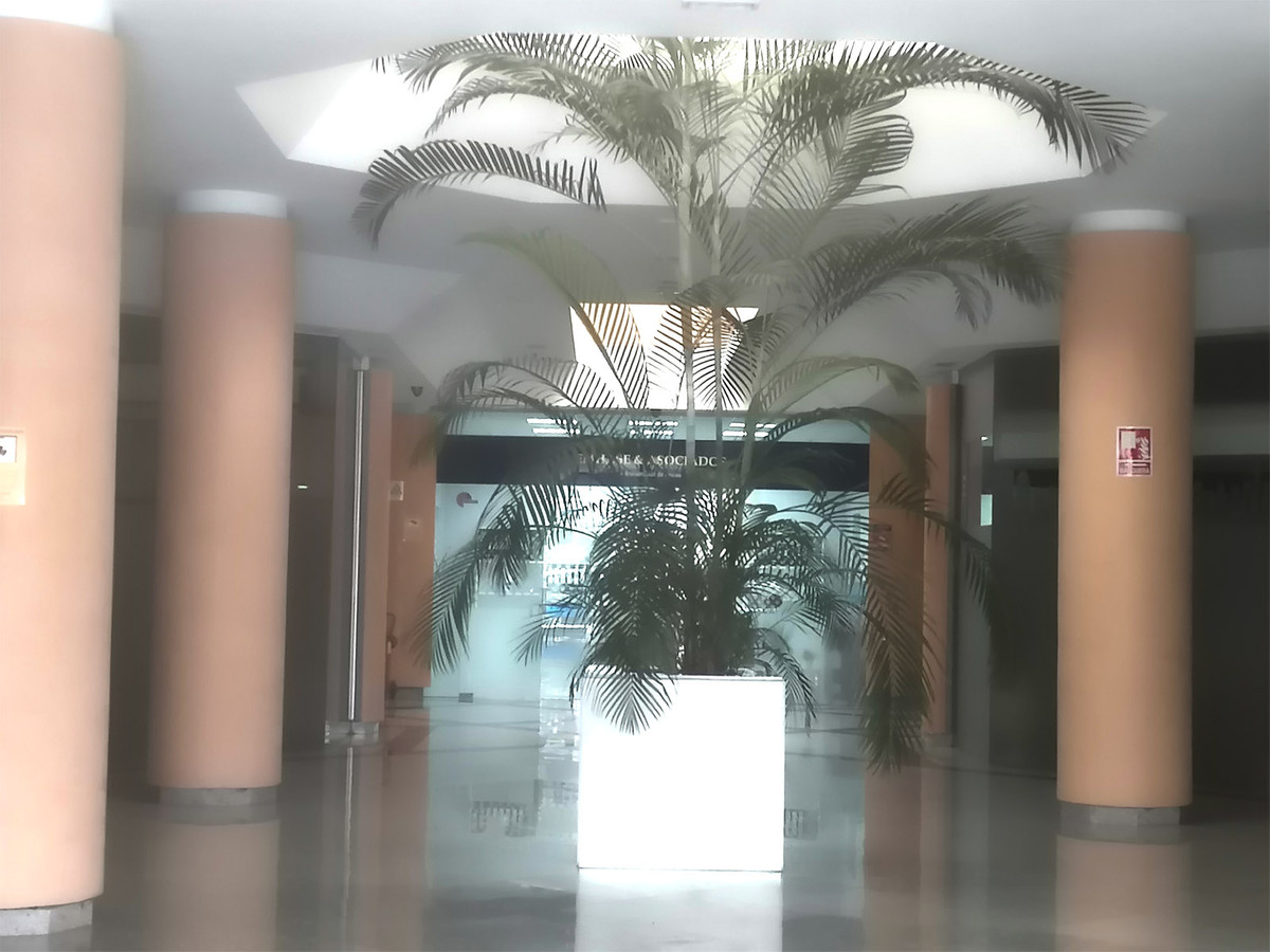 R3787117 Málaga Málaga, Costa del Sol, Marbella R3787117 Málaga Málaga, Costa del Sol, Marbella