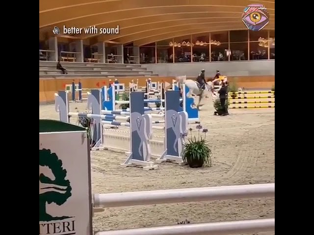 Viral Video: Horse Farts Every Time It Jumps, Leaves Millions Laughing Viral Video: Horse Farts Every Time It Jumps, Leaves Millions Laughing