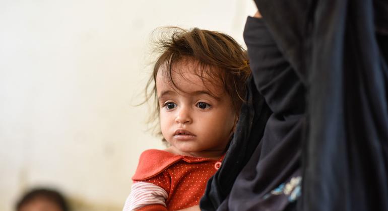 الأمم المتحدة تطلق خطة الاستجابة الإنسانية لليمن لمساعدة أكثر من 10 ملايين شخص في 2025 الأمم المتحدة تطلق خطة الاستجابة الإنسانية لليمن لمساعدة أكثر من 10 ملايين شخص في 2025
