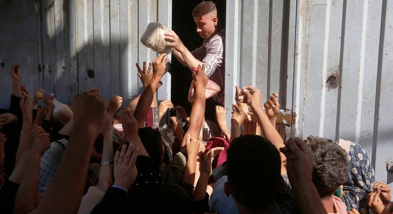 الفلسطينيون في شمال غزة يكافحون للبقاء والمساعدات الأممية تُمنع أو تُعرقل الفلسطينيون في شمال غزة يكافحون للبقاء والمساعدات الأممية تُمنع أو تُعرقل