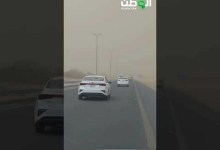 غبار يوليو ينبئ بمطر أغسطس غبار يوليو ينبئ بمطر أغسطس