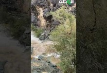 تساقط للصخور وجريان لأودية محافظات السراة بالباحة تساقط للصخور وجريان لأودية محافظات السراة بالباحة