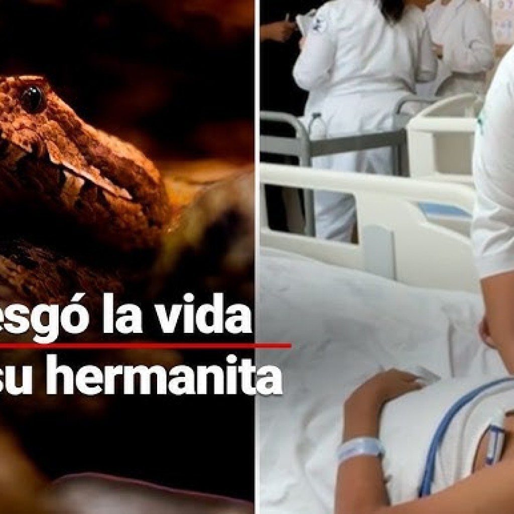 ¡Héroe! Niño de 12 años salva a su hermana de serpiente venenosa y pierde la pierna en Chiapas ¡Héroe! Niño de 12 años salva a su hermana de serpiente venenosa y pierde la pierna en Chiapas