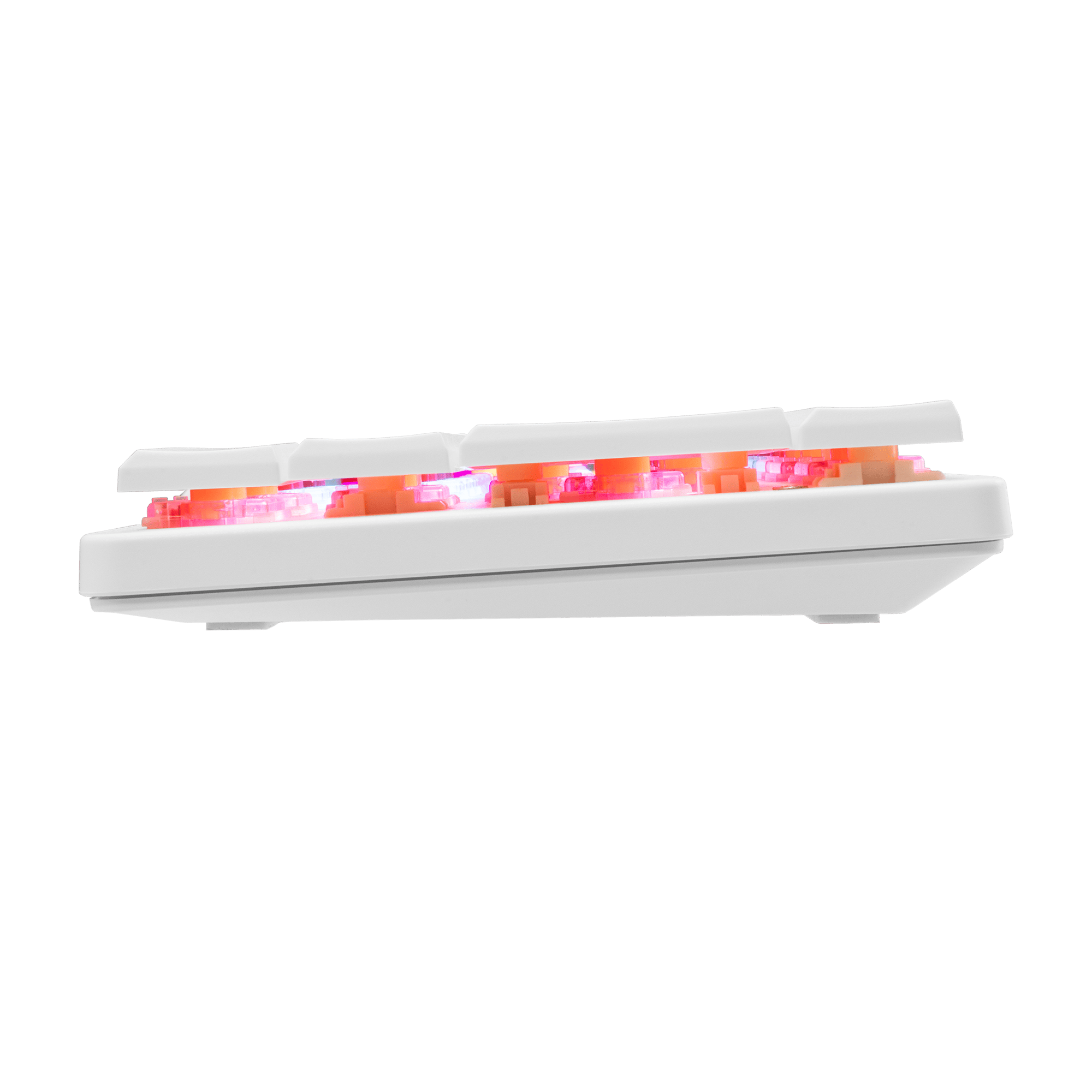 White Shark TIPKOVNICA GK-006211 NAGAMAKI Bijela-Meh. / US-RED.SW