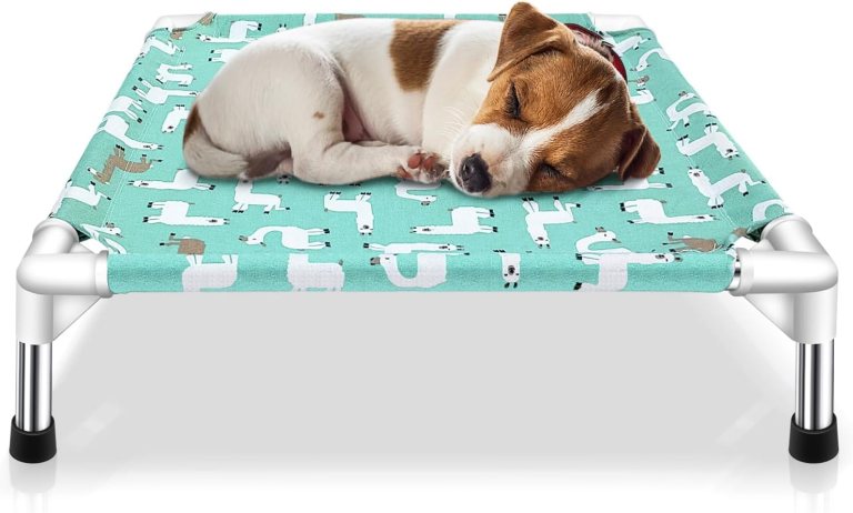 Elevated Dog Bed Pet cot for Small Dogs, Indoor and Outdoor Use for Small Pets Elevated Dog Bed Pet cot for Small Dogs, Indoor and Outdoor Use for Small Pets