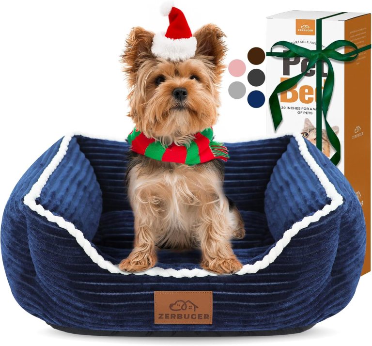 Cat Dog Bed for Pets, Rectangle Pet Bed Gift for Puppy and Kitten, Machine Washable Calming Fluffy Pet Couch Sofa for Indoor Outdoor, Portable Soft Cat Bed with Non-Slip Bottom (Small, Blue) Cat Dog Bed for Pets, Rectangle Pet Bed Gift for Puppy and Kitten, Machine Washable Calming Fluffy Pet Couch Sofa for Indoor Outdoor, Portable Soft Cat Bed with Non-Slip Bottom (Small, Blue)