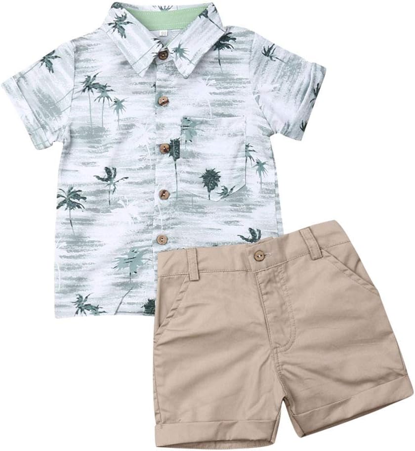 VISGOGO Toddler Baby Boy Flamingo Short Sleeve Button Down Shirt & Casual Shorts Set Summer Outfits 1-6 Years Clothes VISGOGO Toddler Baby Boy Flamingo Short Sleeve Button Down Shirt & Casual Shorts Set Summer Outfits 1-6 Years Clothes
