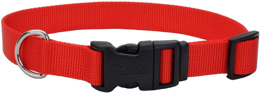 Coastal Pet – Adjustable Dog Collar with Plastic Buckle, Red, 3/8″ x 8″-12″ Coastal Pet – Adjustable Dog Collar with Plastic Buckle, Red, 3/8″ x 8″-12″