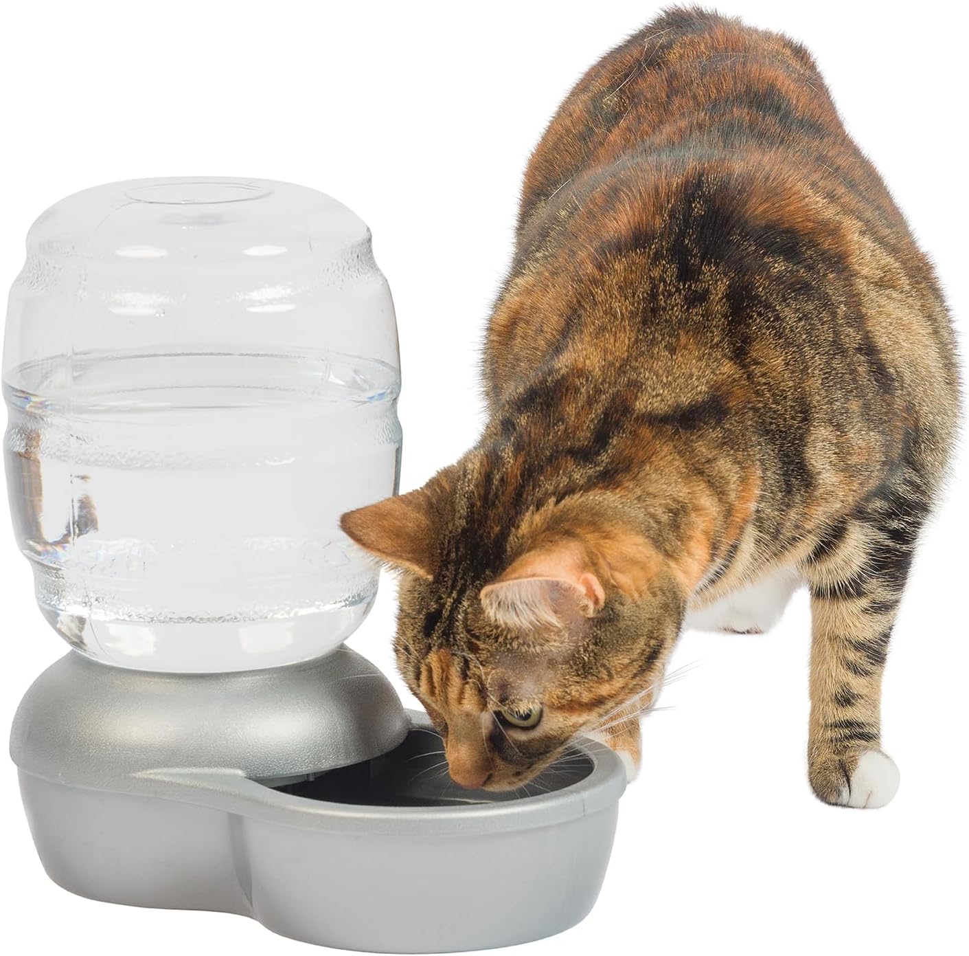 Petmate Replendish Automatic Gravity Waterer for Cats and Dogs, BPA-Free, No Batteries Required, Includes Charcoal Filter, 0.5 Gallon,Silver Petmate Replendish Automatic Gravity Waterer for Cats and Dogs, BPA-Free, No Batteries Required, Includes Charcoal Filter, 0.5 Gallon,Silver