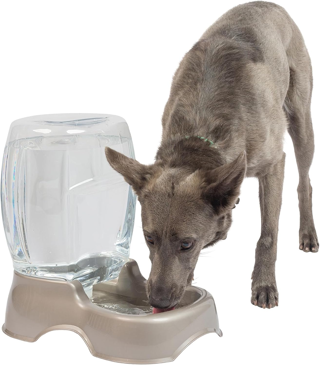 Petmate Pet Cafe Waterer Cat and Dog Water Dispenser 4 Sizes, 3 GAL, Pearl Tan, Made in USA Petmate Pet Cafe Waterer Cat and Dog Water Dispenser 4 Sizes, 3 GAL, Pearl Tan, Made in USA