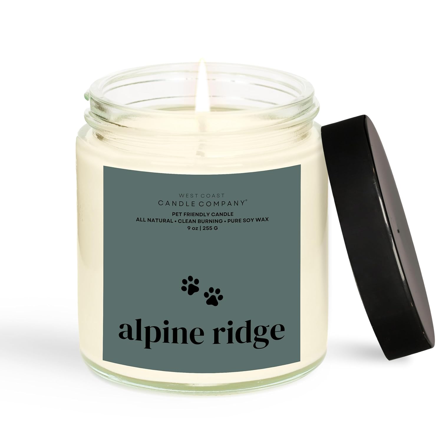 Pet Friendly Candle | Pet Safe Candle | All Natural Soy Candle | Pet Odor Eliminator | Clean Burning Candle | Air Freshening Scented Candles | Veterinarian Approved | 9 oz (Alpine Ridge) Pet Friendly Candle | Pet Safe Candle | All Natural Soy Candle | Pet Odor Eliminator | Clean Burning Candle | Air Freshening Scented Candles | Veterinarian Approved | 9 oz (Alpine Ridge)