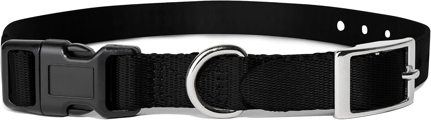 e-Collar Replacement Strap – Shock Collar Replacement Collar, Fence Collar Replacement, Compatible with Most Brands (1″, Black) e-Collar Replacement Strap – Shock Collar Replacement Collar, Fence Collar Replacement, Compatible with Most Brands (1″, Black)