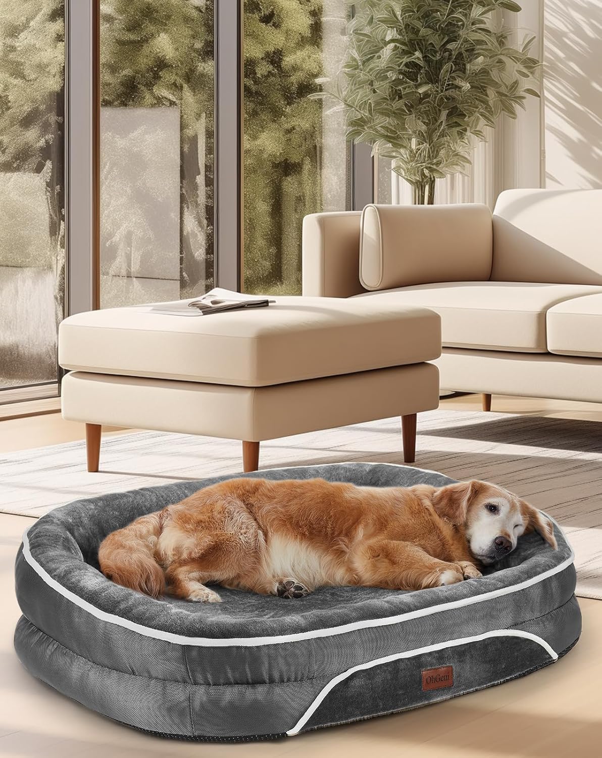 Orthopedic Dog Bed for Large Dogs, Dog Couch Design with Egg Foam Support, Removable, Washable Plush Cover and Non-Slip Bottom with Four Sided Bolster Cushion (Gray) Orthopedic Dog Bed for Large Dogs, Dog Couch Design with Egg Foam Support, Removable, Washable Plush Cover and Non-Slip Bottom with Four Sided Bolster Cushion (Gray)