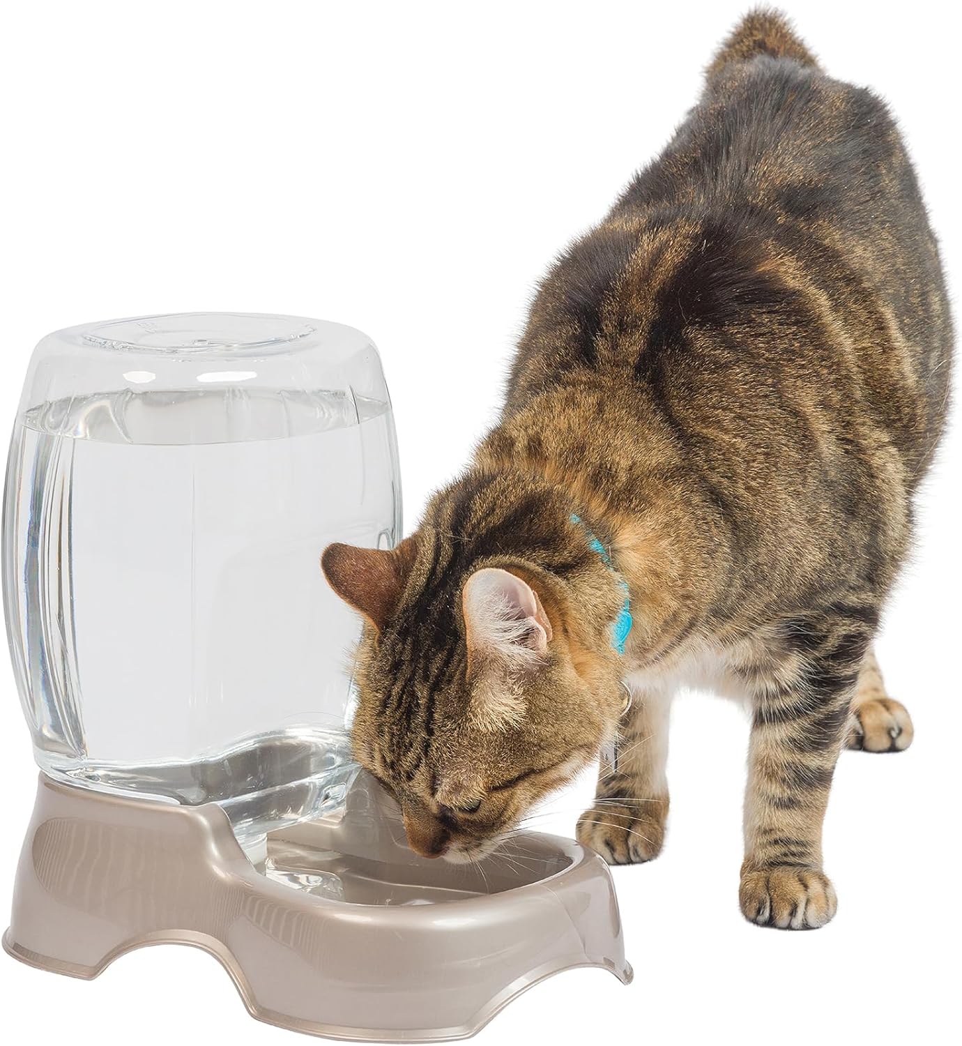 Petmate Pet Cafe Waterer Cat and Dog Water Dispenser 4 Sizes, Made in USA Petmate Pet Cafe Waterer Cat and Dog Water Dispenser 4 Sizes, Made in USA