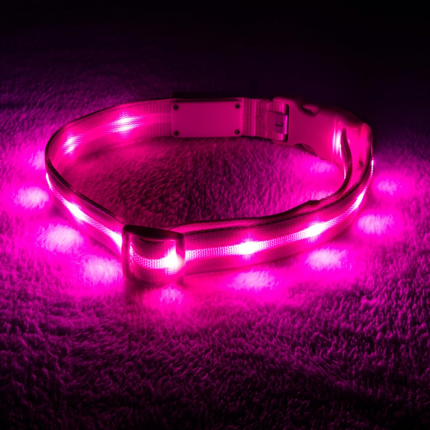 BLAZIN Brightest Light Up Dog Collars – The Original LED Dog Collar with 1,000 Feet of Visibility – USB Rechargeable Waterproof Dog Collar Light – Dog Lights for Night Walking – USA Brand BLAZIN Brightest Light Up Dog Collars – The Original LED Dog Collar with 1,000 Feet of Visibility – USB Rechargeable Waterproof Dog Collar Light – Dog Lights for Night Walking – USA Brand