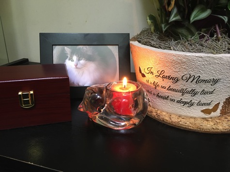 Cartões postais de algum lugar sobre a ponte arco -íris ch 2 Cartões postais de algum lugar sobre a ponte arco -íris ch 2