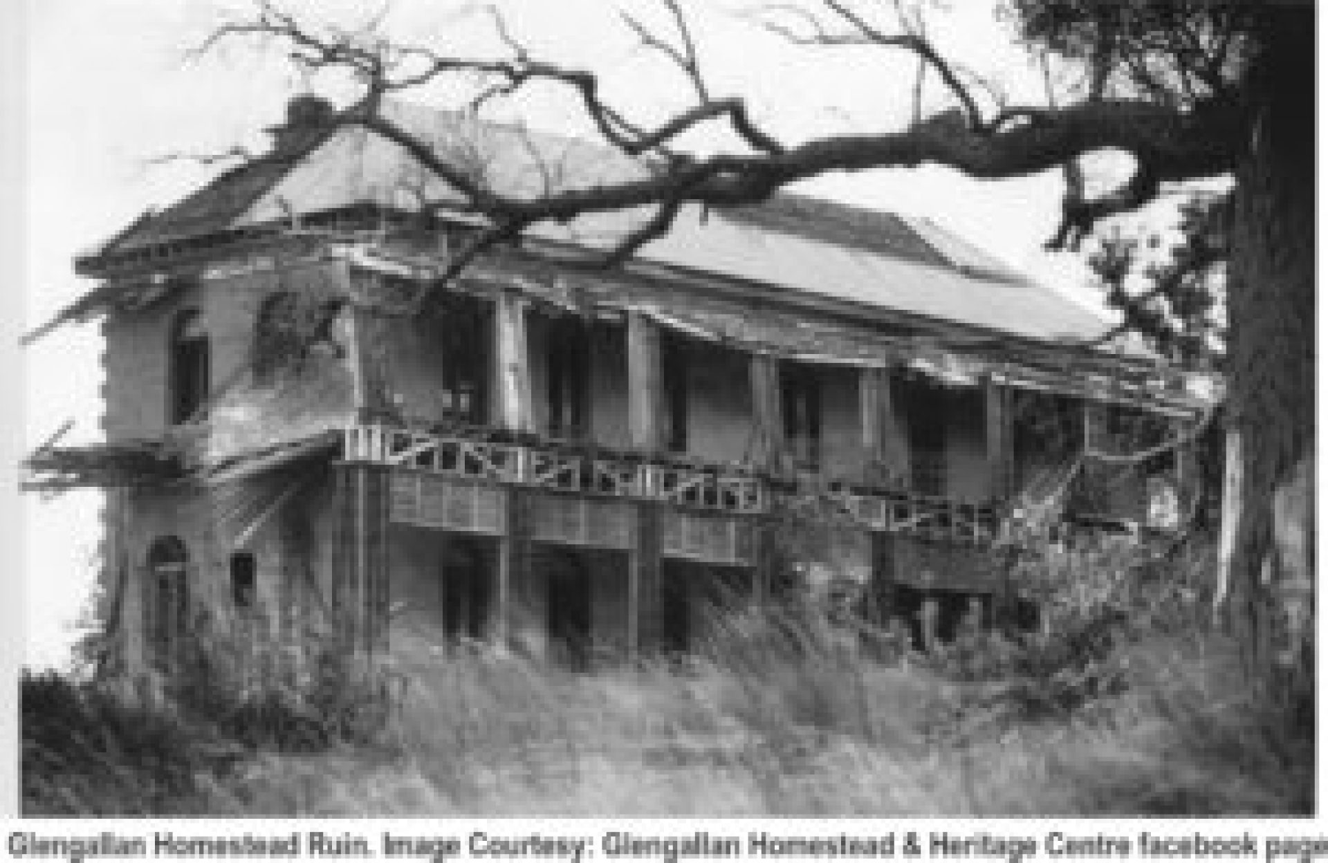 Homestead e Heritage Center Glengallan – PressPlay Pets Homestead e Heritage Center Glengallan – PressPlay Pets