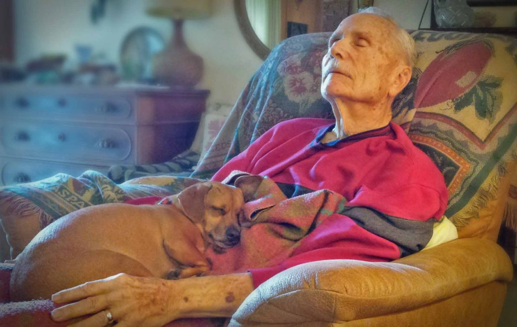 Caro vovô, eu te amo – do seu cachorro. Caro vovô, eu te amo – do seu cachorro.