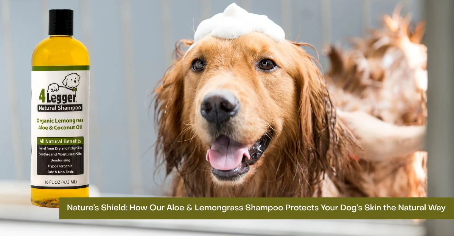 Como nosso shampoo Aloe e Lemongrass protege Como nosso shampoo Aloe e Lemongrass protege