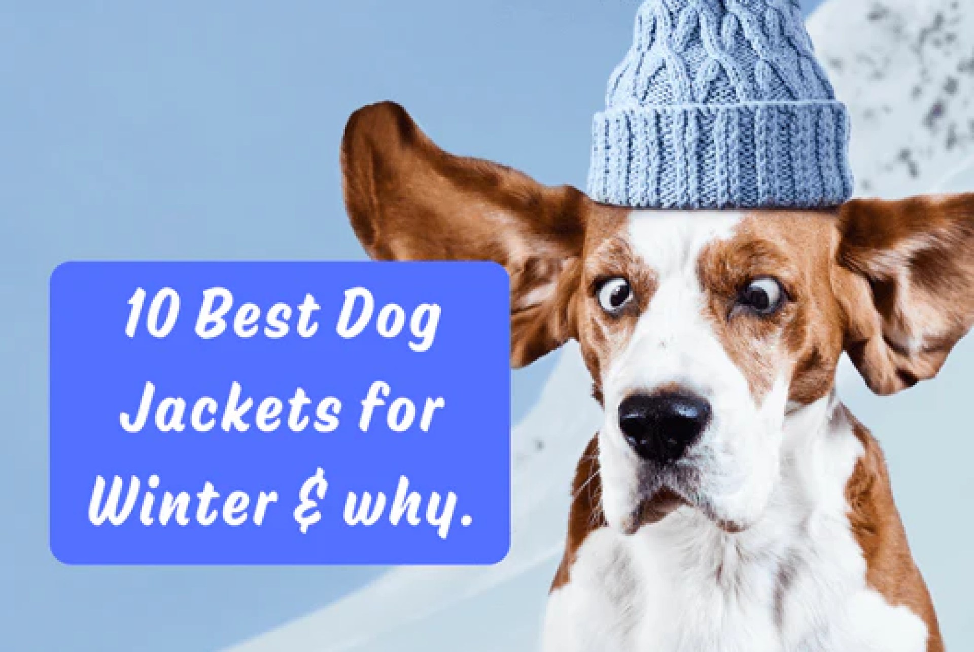 10 melhores jaquetas de cachorro para o inverno e por quê. – Furbabeez 10 melhores jaquetas de cachorro para o inverno e por quê. – Furbabeez