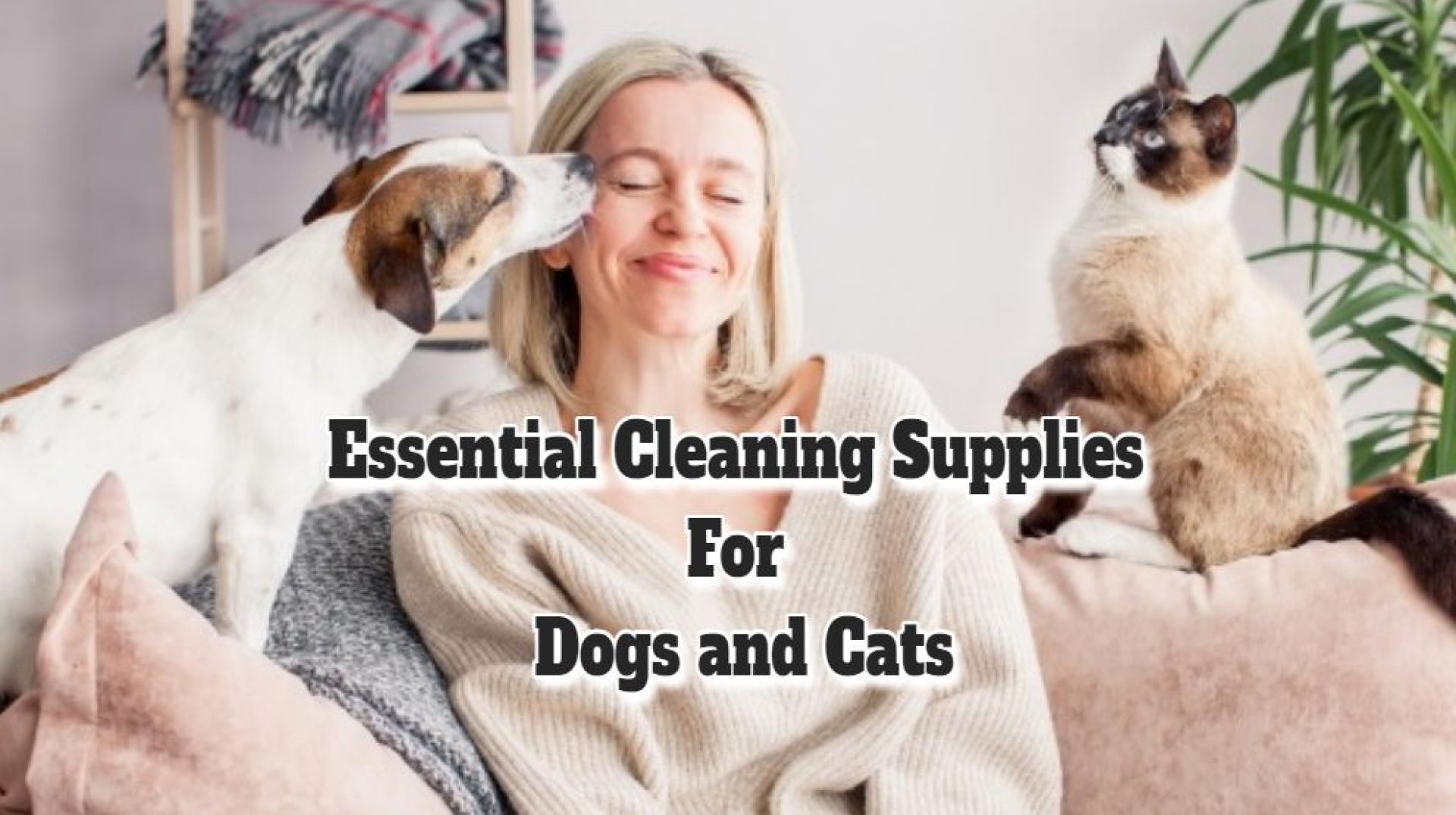Suprimentos de limpeza essenciais para cães e gatos Suprimentos de limpeza essenciais para cães e gatos