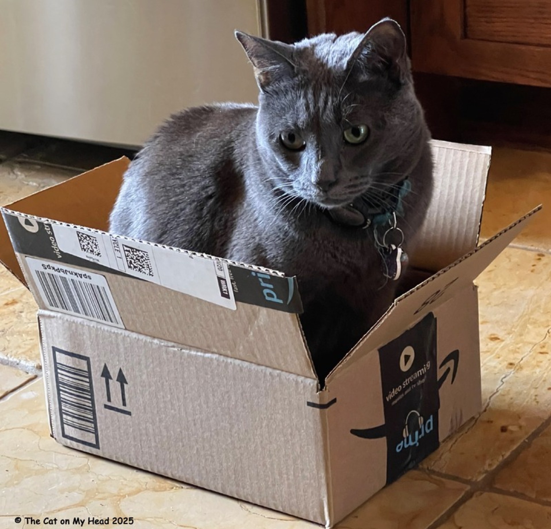 Dia Internacional da Caixa com Poesia e Agradecimentos Dia Internacional da Caixa com Poesia e Agradecimentos