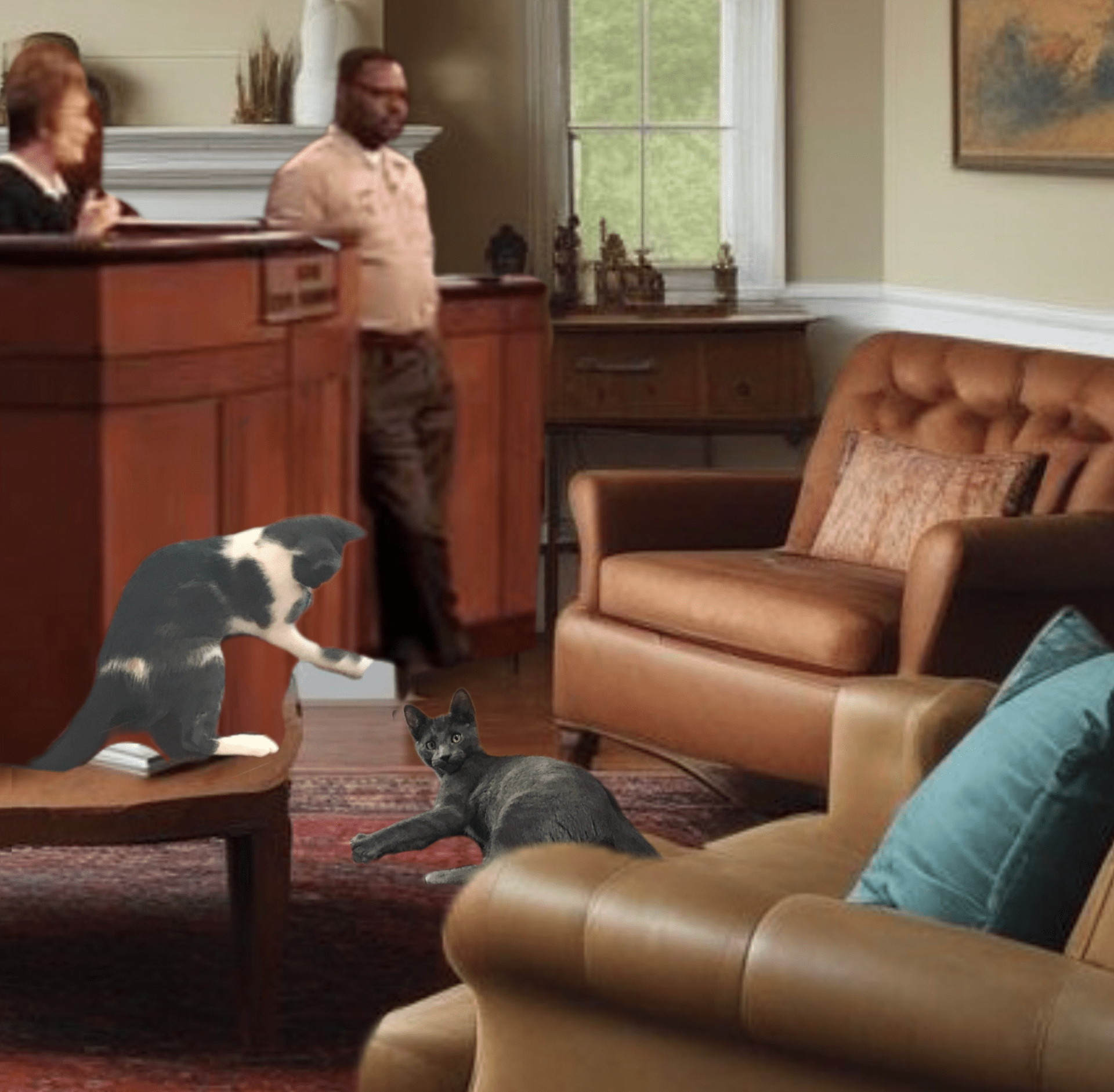 Obsessão desta semana | Os Cotinhos Obsessão desta semana | Os Cotinhos