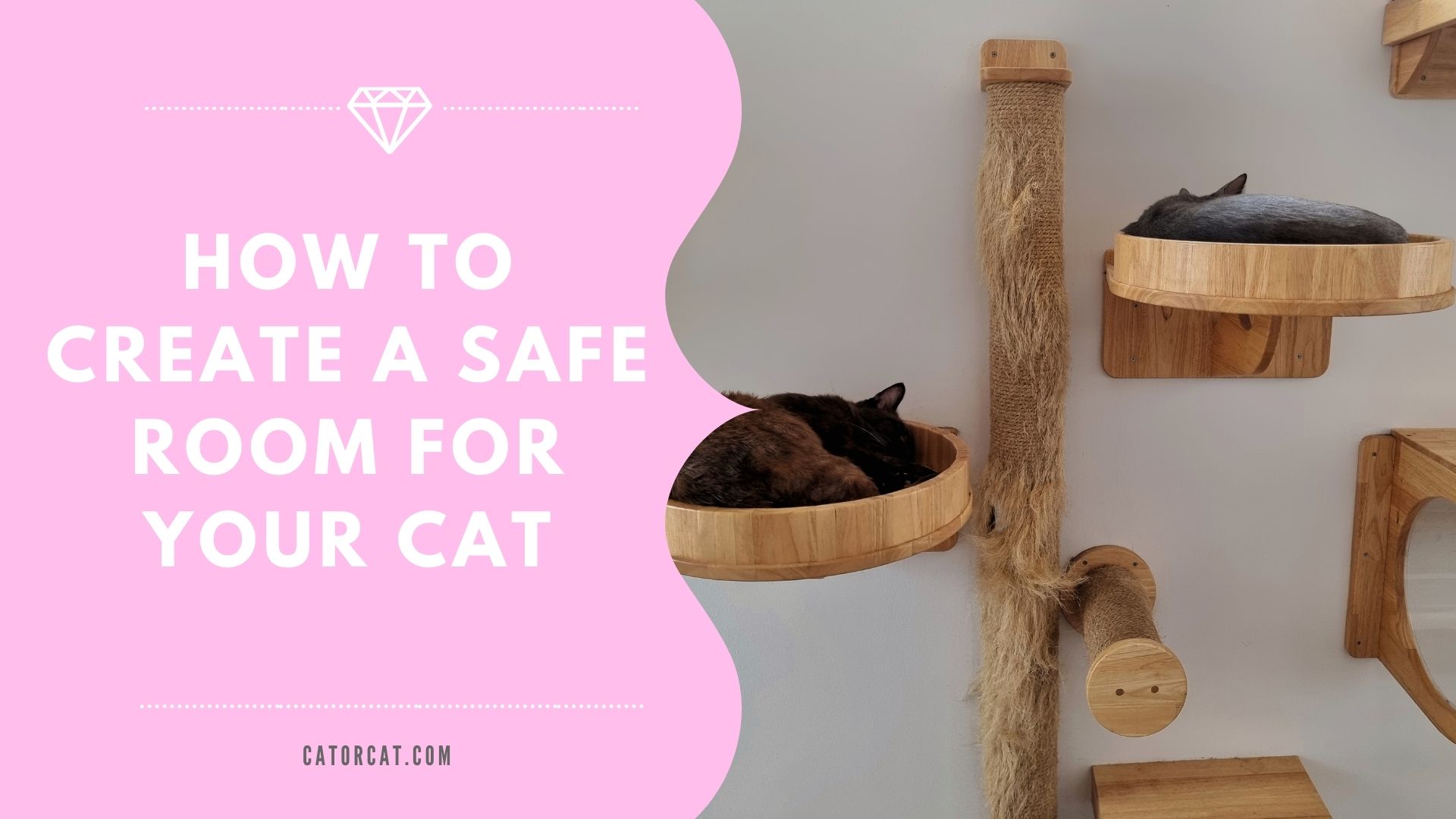 Configuração do gato: como criar uma sala segura para o seu gato Configuração do gato: como criar uma sala segura para o seu gato