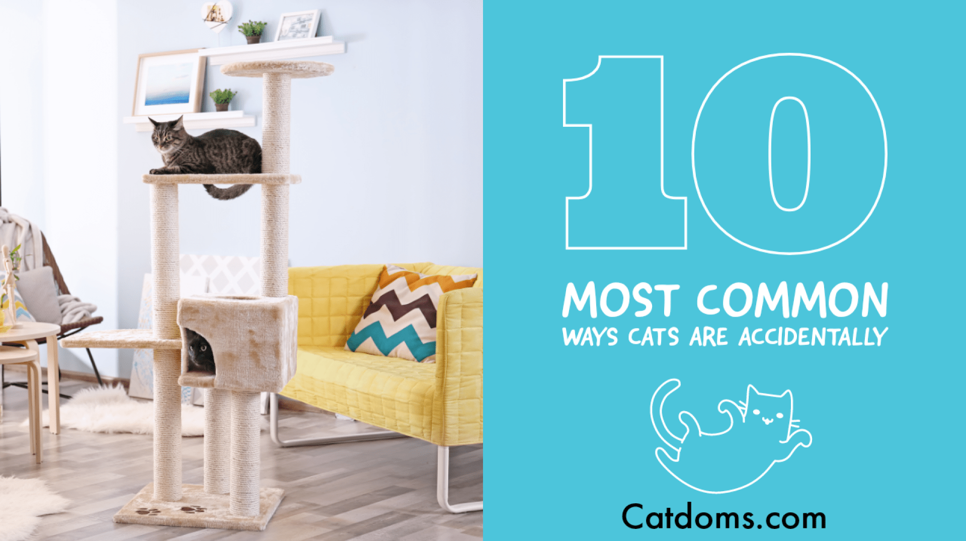 10 maneiras mais comuns maneiras de gatos são acidentalmente 10 maneiras mais comuns maneiras de gatos são acidentalmente