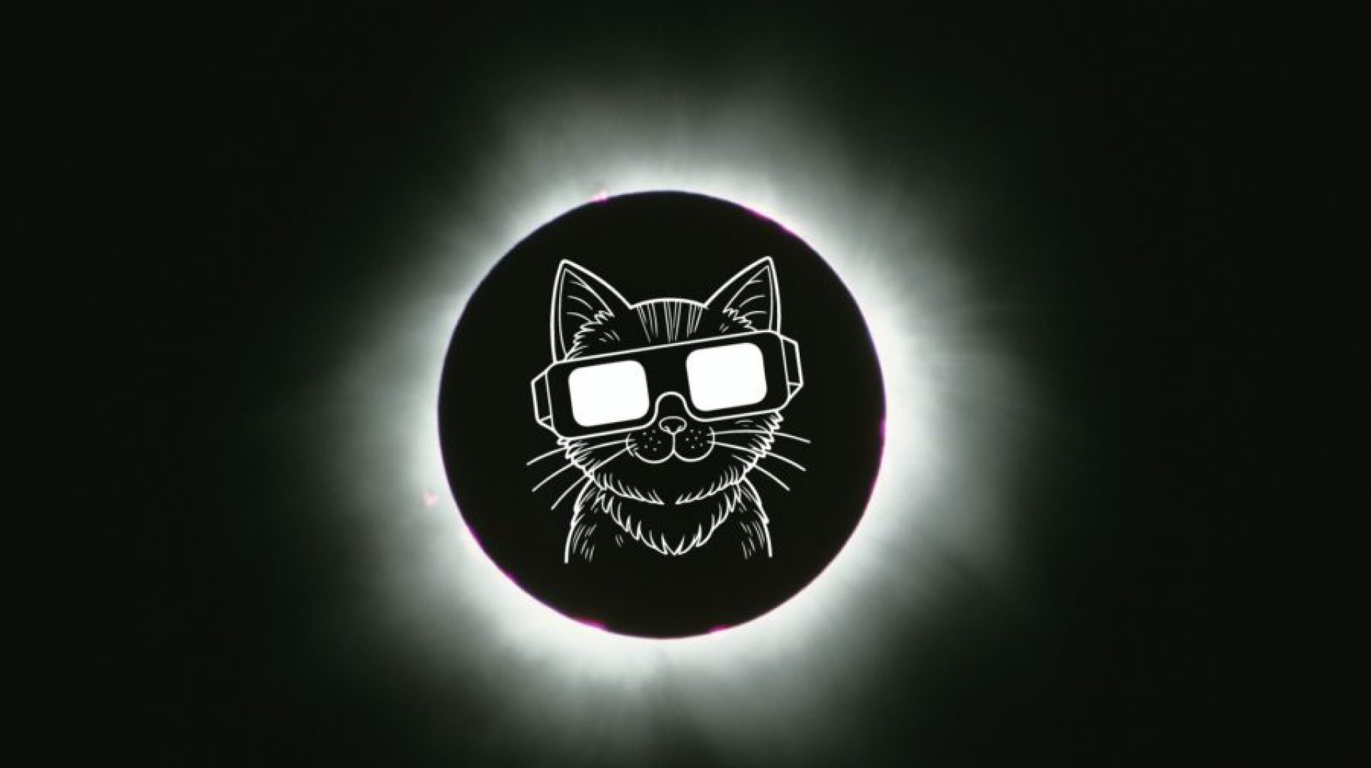 Os eclipses são perigosos para os gatos? Os eclipses são perigosos para os gatos?