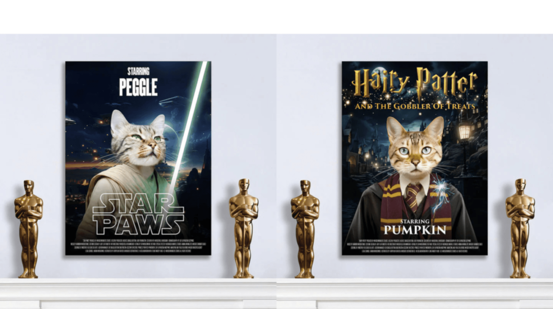 Senhor dos animais de estimação retratos de gatos! Senhor dos animais de estimação retratos de gatos!