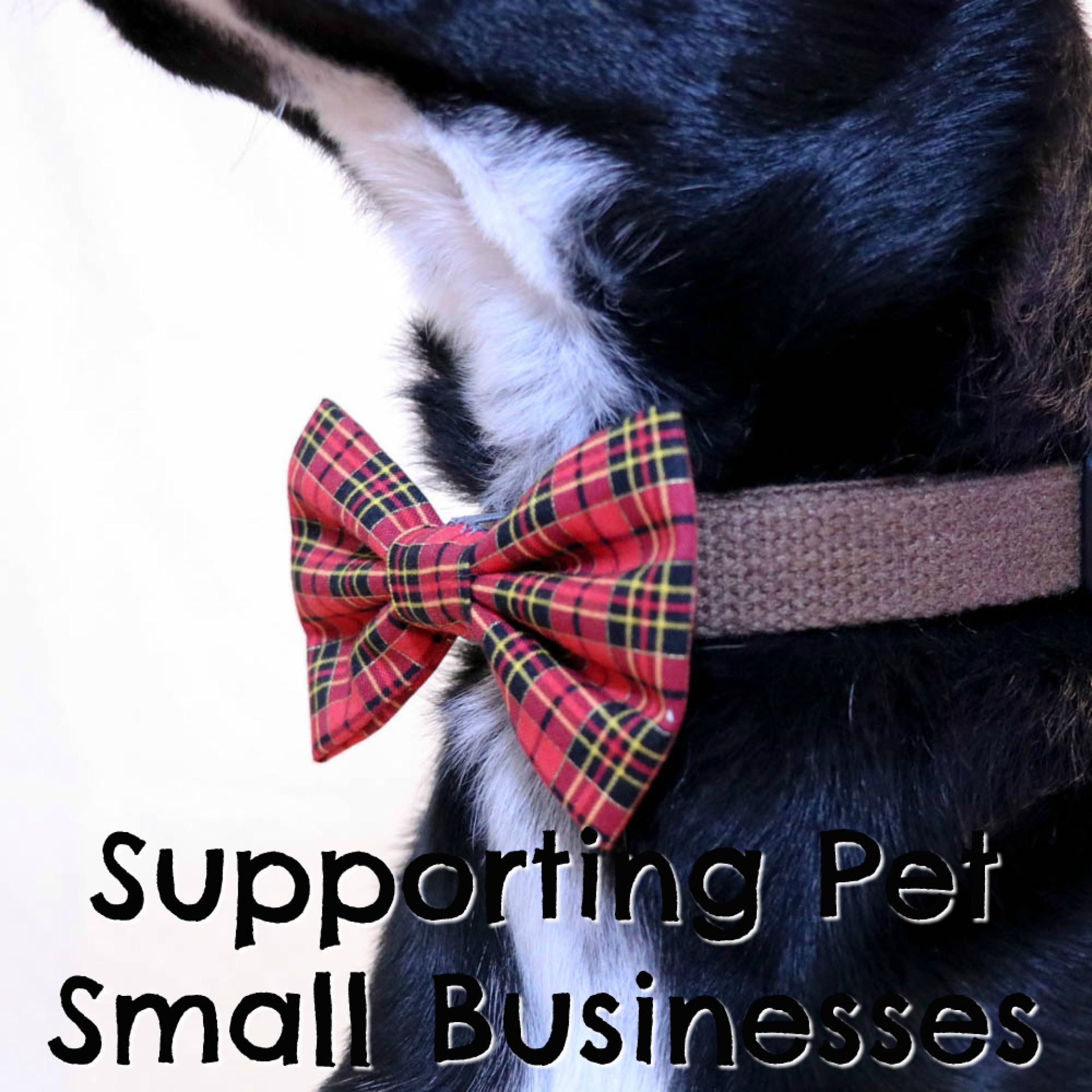 Apoiando pequenos negócios de animais de estimação {Giveaway da Stuff Stuffer – Dia 3} Apoiando pequenos negócios de animais de estimação {Giveaway da Stuff Stuffer – Dia 3}
