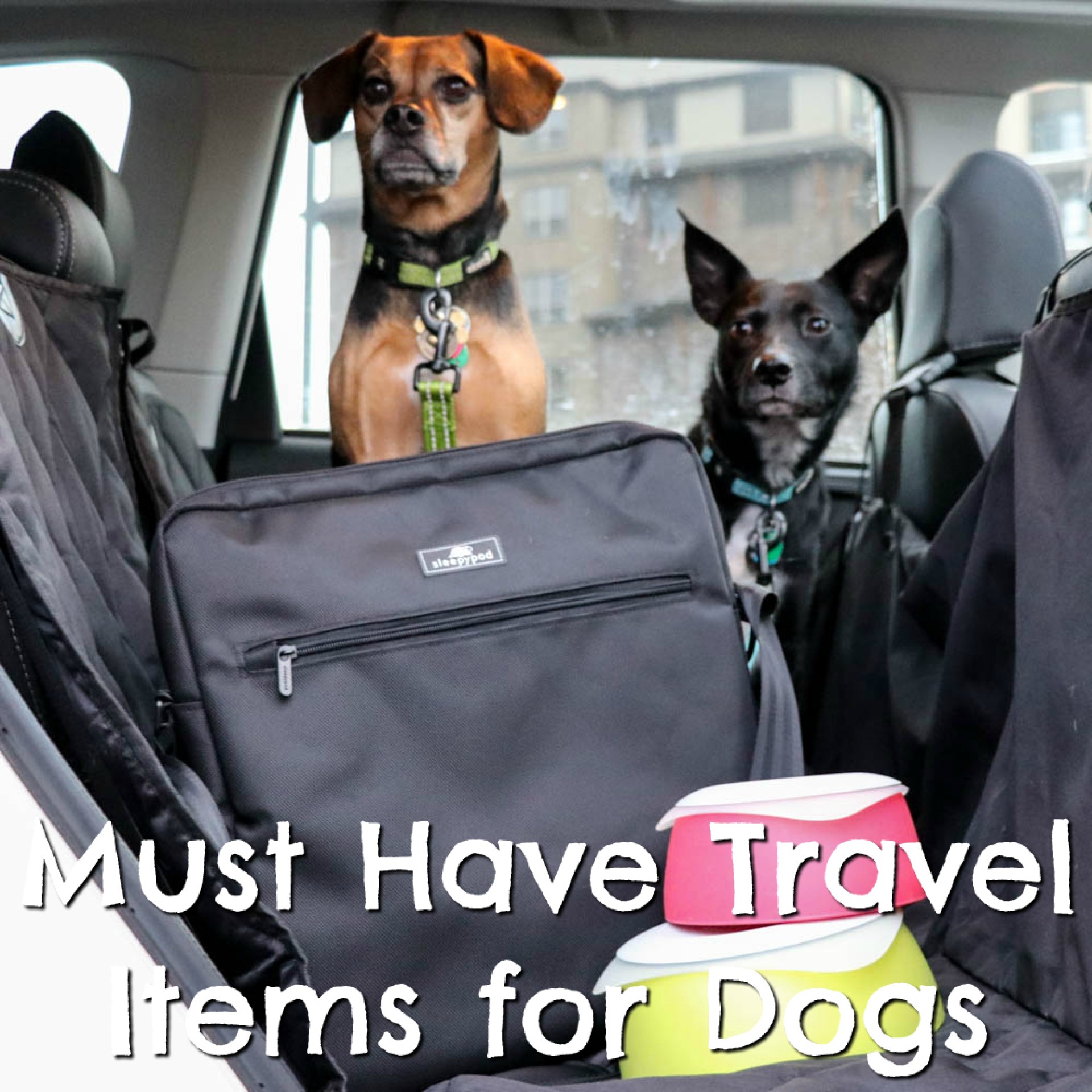 Deve ter itens de viagem para cães {Stocking Stuffer Giveaway – Dia #9} Deve ter itens de viagem para cães {Stocking Stuffer Giveaway – Dia #9}