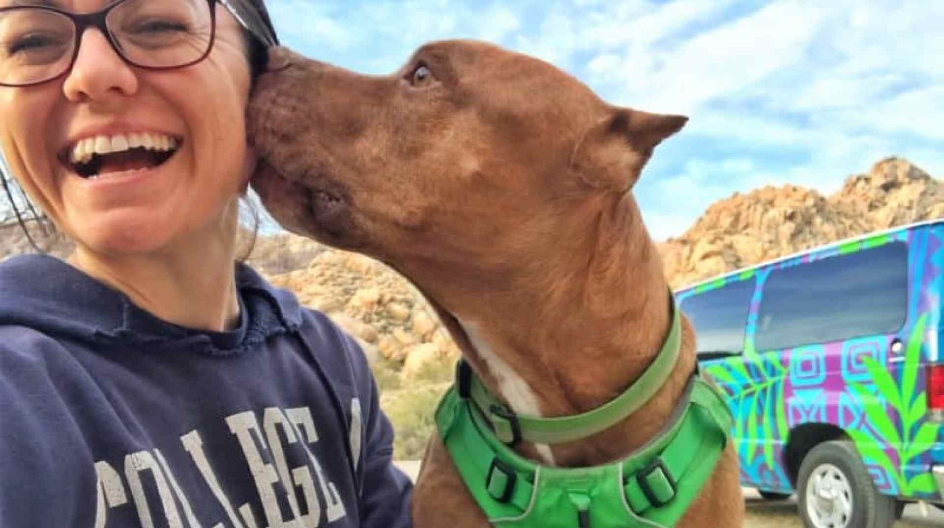 Alugando uma van de aventura com animais de estimação Alugando uma van de aventura com animais de estimação