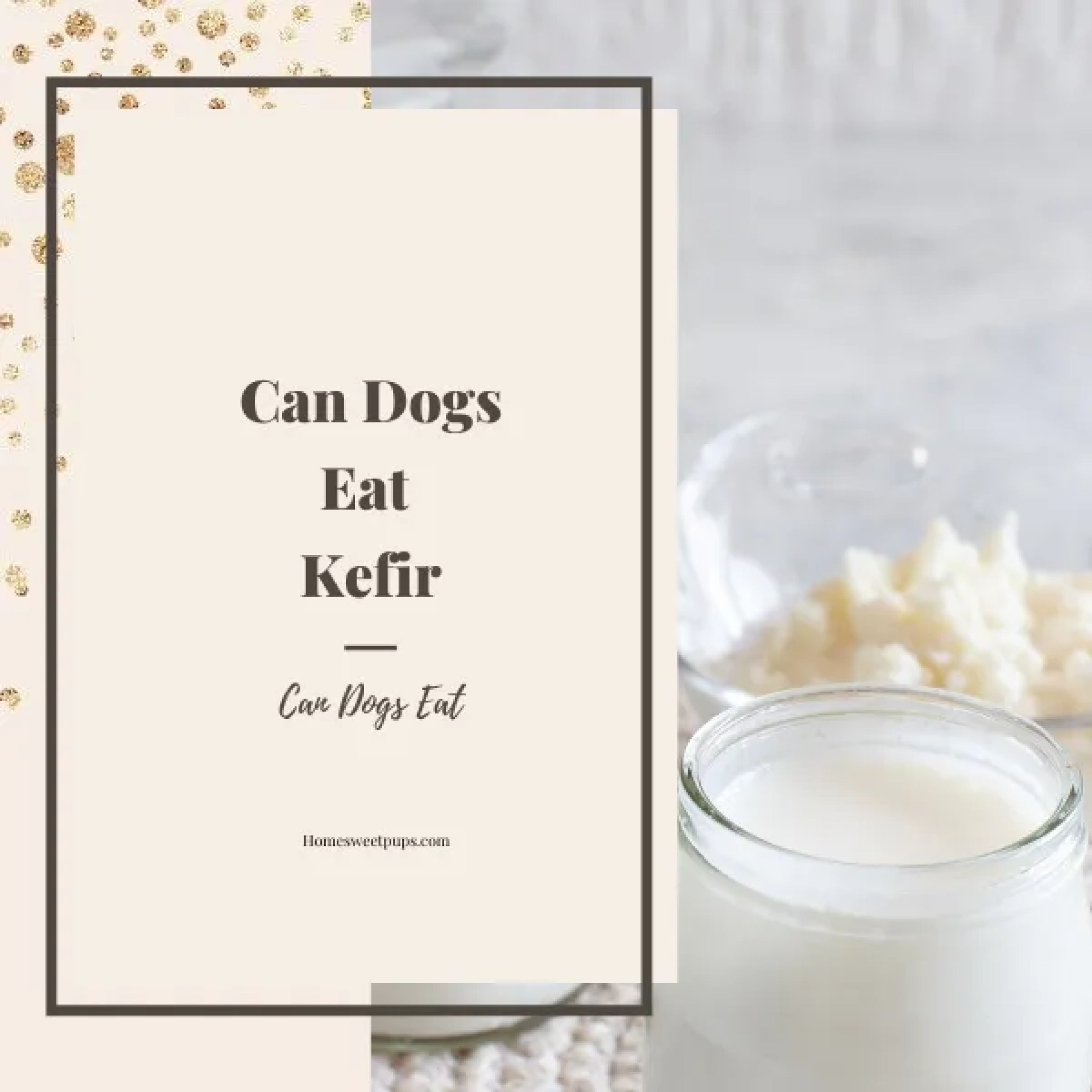 Os cães podem comer kefir? (Você vai adorar a resposta) Os cães podem comer kefir? (Você vai adorar a resposta)