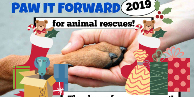 MDB’s Paw It Forward 2019 MDB’s Paw It Forward 2019