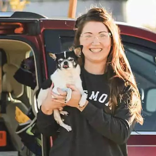 Uma revisão abrangente do suplemento de cão “diário” Uma revisão abrangente do suplemento de cão “diário”