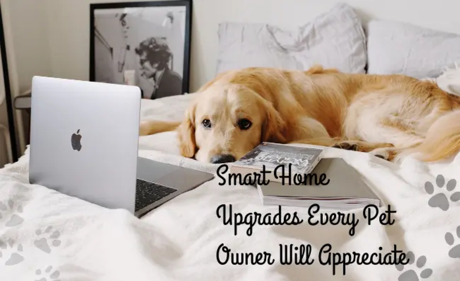 Tecnologia doméstica inteligente para animais de estimação: Guia do proprietário da Ultimate Tecnologia doméstica inteligente para animais de estimação: Guia do proprietário da Ultimate